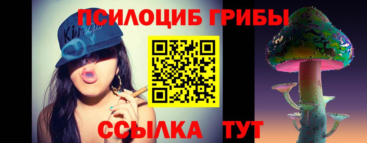 Галлюциногенные грибы GOLDEN TEACHER  Псилоцибиновые грибы Psilocybine cubensis  Вход с VPN  Павлово 