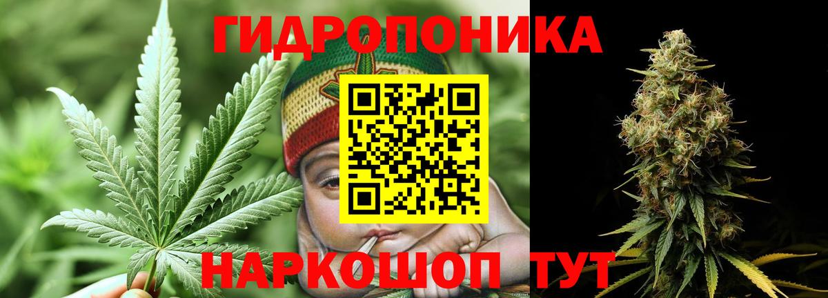 Бошки Шишки индика Павлово